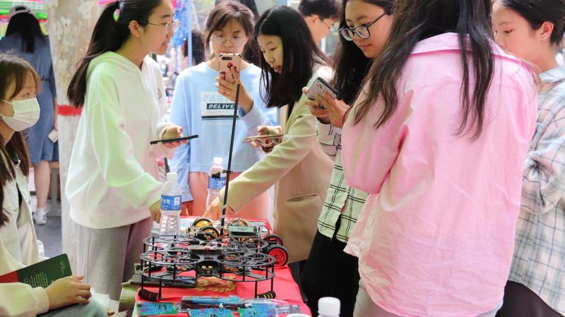 数据可视化在Excel中的应用：上海公司如何高效展示数据