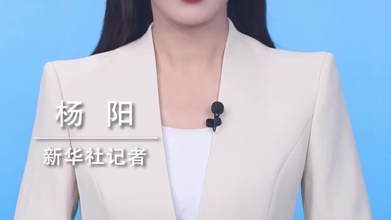 人工智能应用实战：揭秘高效实用技巧